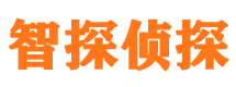 廉江市私家侦探